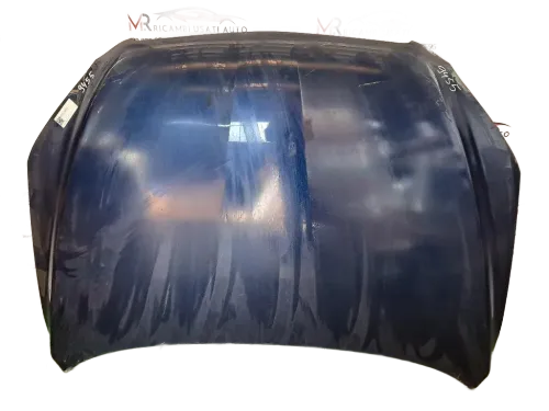 Cofano Anteriore TOYOTA Rav4 4° Serie