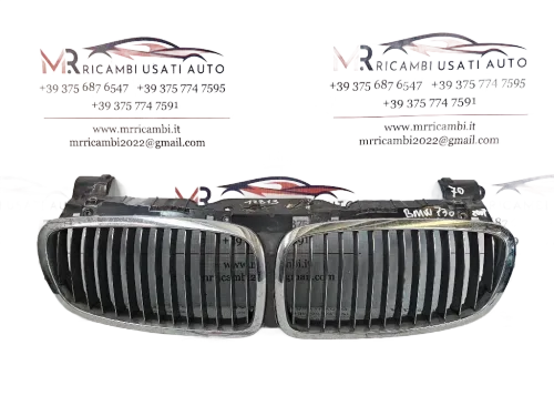 Griglia Anteriore BMW Serie 7 E65/E66/E67/E68