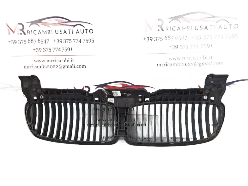 Griglia Anteriore BMW Serie 7 E65/E66/E67/E68