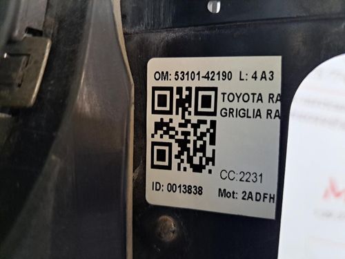 Griglia Anteriore TOYOTA Rav4 4° Serie