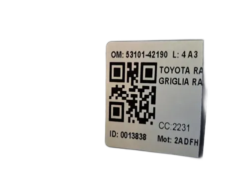 Griglia Anteriore TOYOTA Rav4 4° Serie