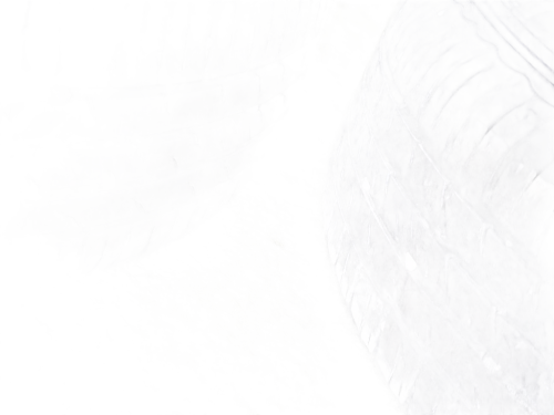 Cerchi completi di gomme (Gomme in omaggio) RENAULT Captur Serie