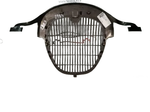 Griglia Anteriore JAGUAR S-Type 2° Serie