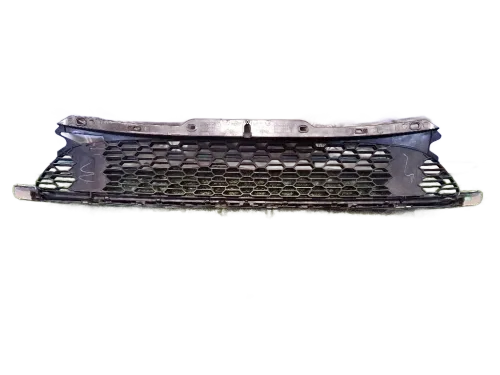 Griglia Anteriore MINI Clubman Serie (R55) (07>14)