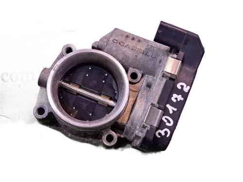 Corpo Farfallato BMW Serie 1 Serie (E87) (04>07)