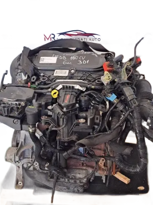 Motore FORD C - Max Serie (10>)