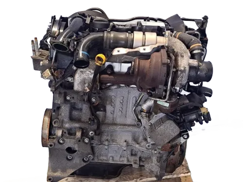 Motore FORD C - Max Serie (10>)