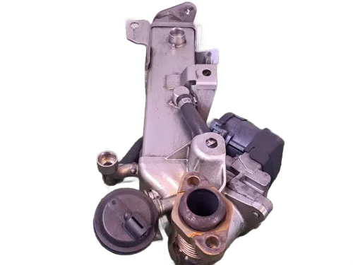 Scambiatore di calore BMW Serie 3 F31 Touring