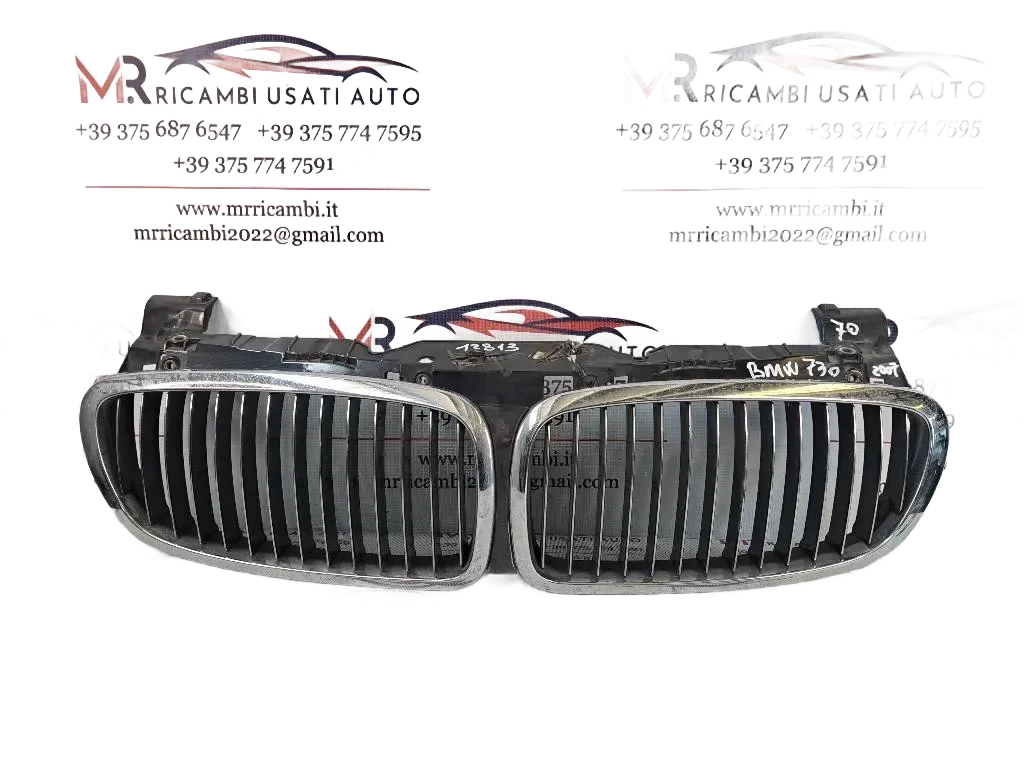 Griglia Anteriore BMW Serie 7 E65/E66/E67/E68