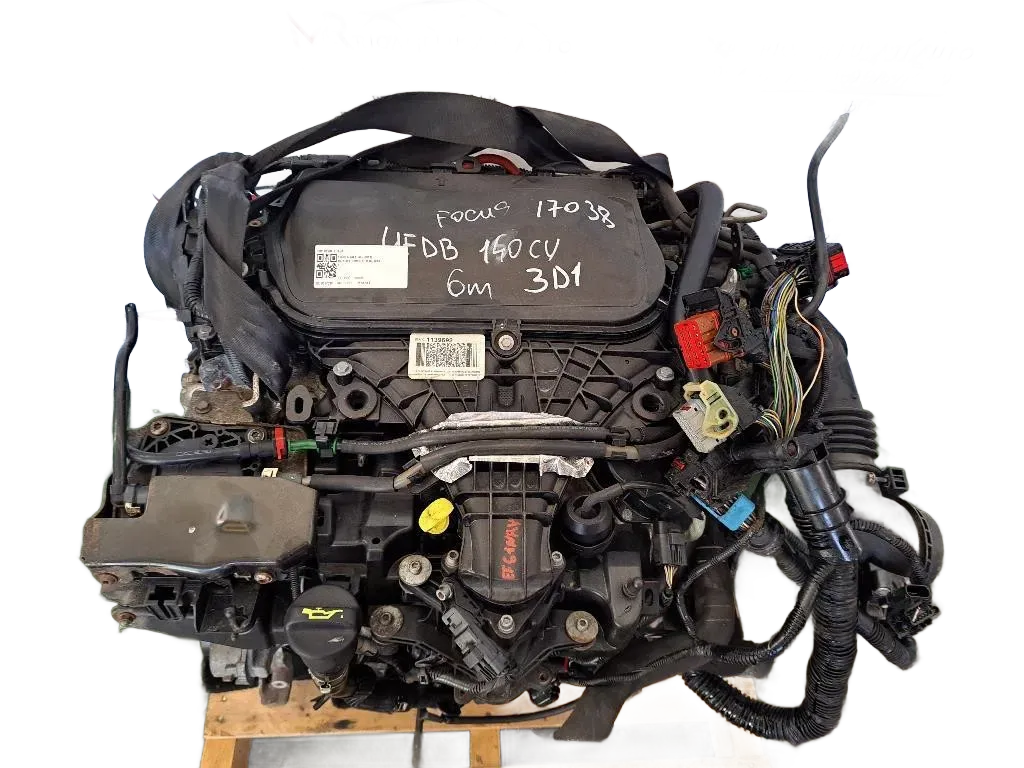 Motore FORD C - Max Serie (10>)