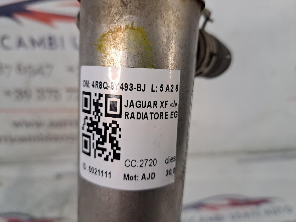 Scambiatore di calore JAGUAR XF Serie (08>11)