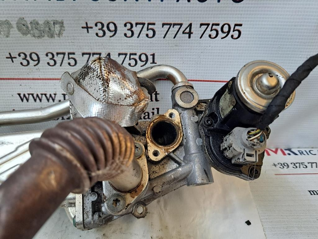 Scambiatore di calore VOLKSWAGEN Golf 6 Berlina (08>12)